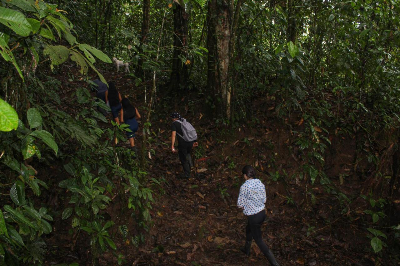 Ingaru Lodge & Reserve Pano ภายนอก รูปภาพ